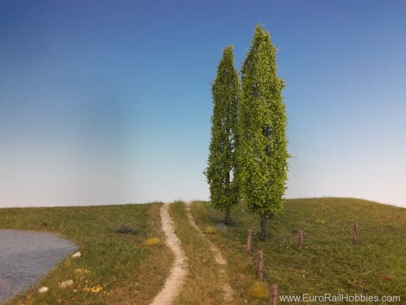 Silhouette Silflor MiniNatur 213-11 Lombardy Poplar, Spring 10-13cm