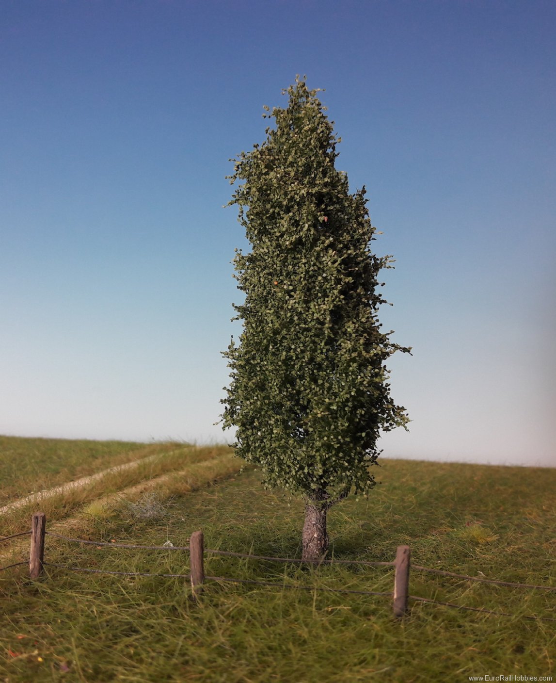 Silhouette Silflor MiniNatur 213-42 Poplar Tree, Summer 10-13cm