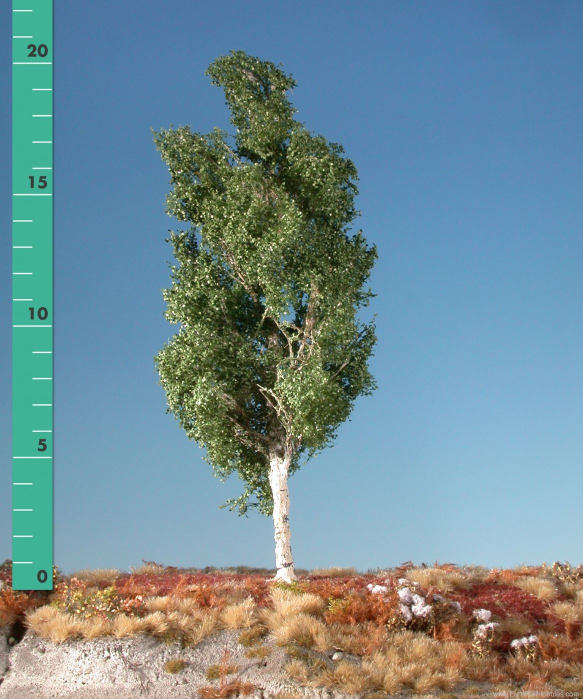 Silhouette Silflor MiniNatur 215-02 Aspen Tree, Summer 8cm