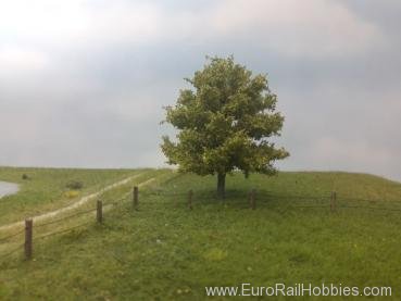 Silhouette Silflor MiniNatur 220-61 Beech Tree, Spring 8cm