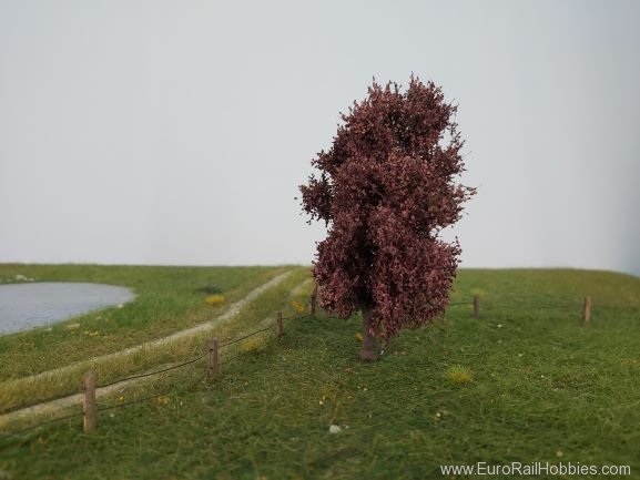 Silhouette Silflor MiniNatur 222-42 Copper beech, Summer 10-13cm