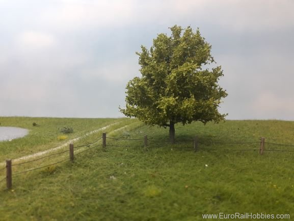 Silhouette Silflor MiniNatur 242-51 Lime Tree, Spring 15-20cm