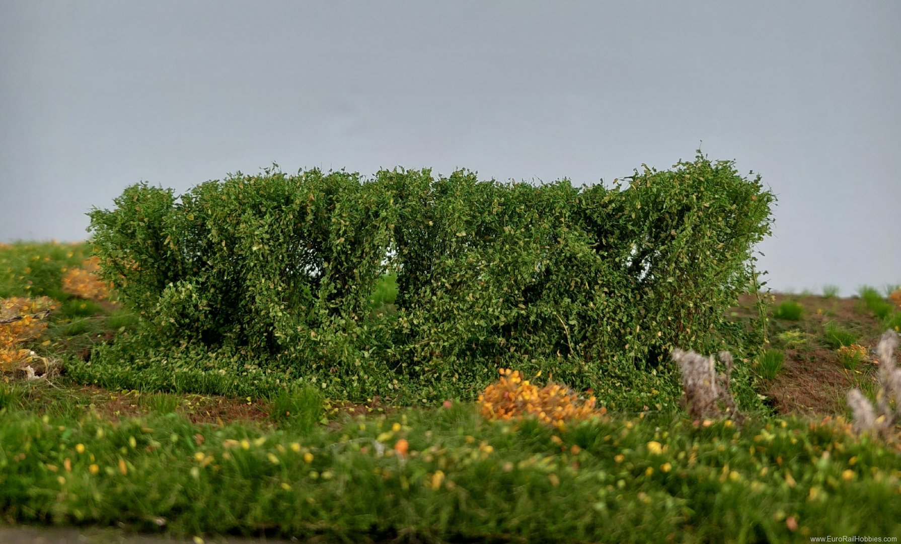 Silhouette Silflor MiniNatur 254-32 Hedges, Summer 