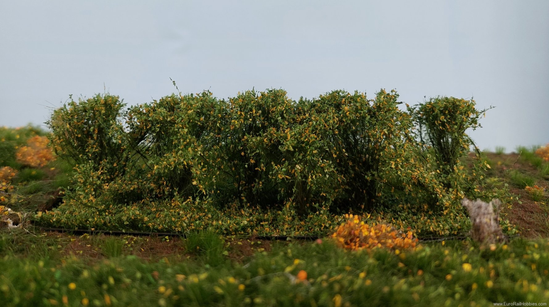 Silhouette Silflor MiniNatur 254-33 Hedges, Early Fall 