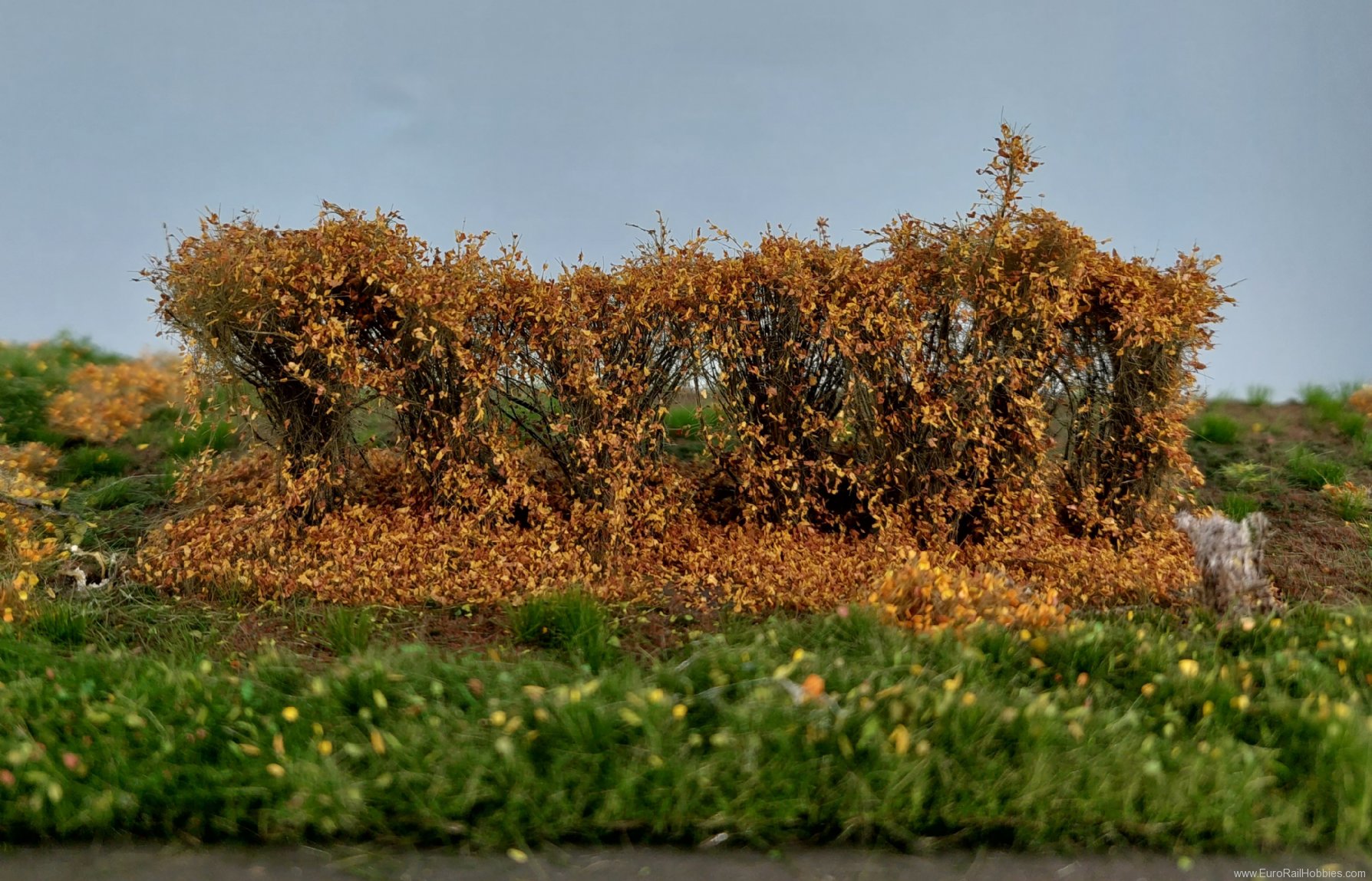 Silhouette Silflor MiniNatur 254-34 Hedges, Late Fall 