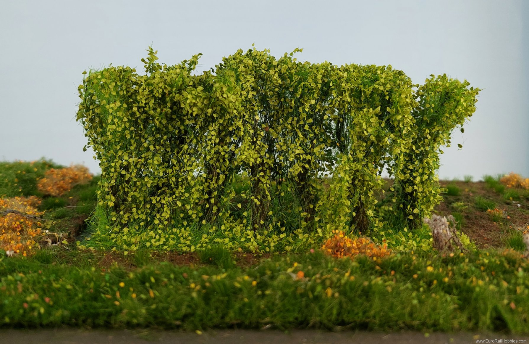 Silhouette Silflor MiniNatur 254-41 Hedges, Spring 