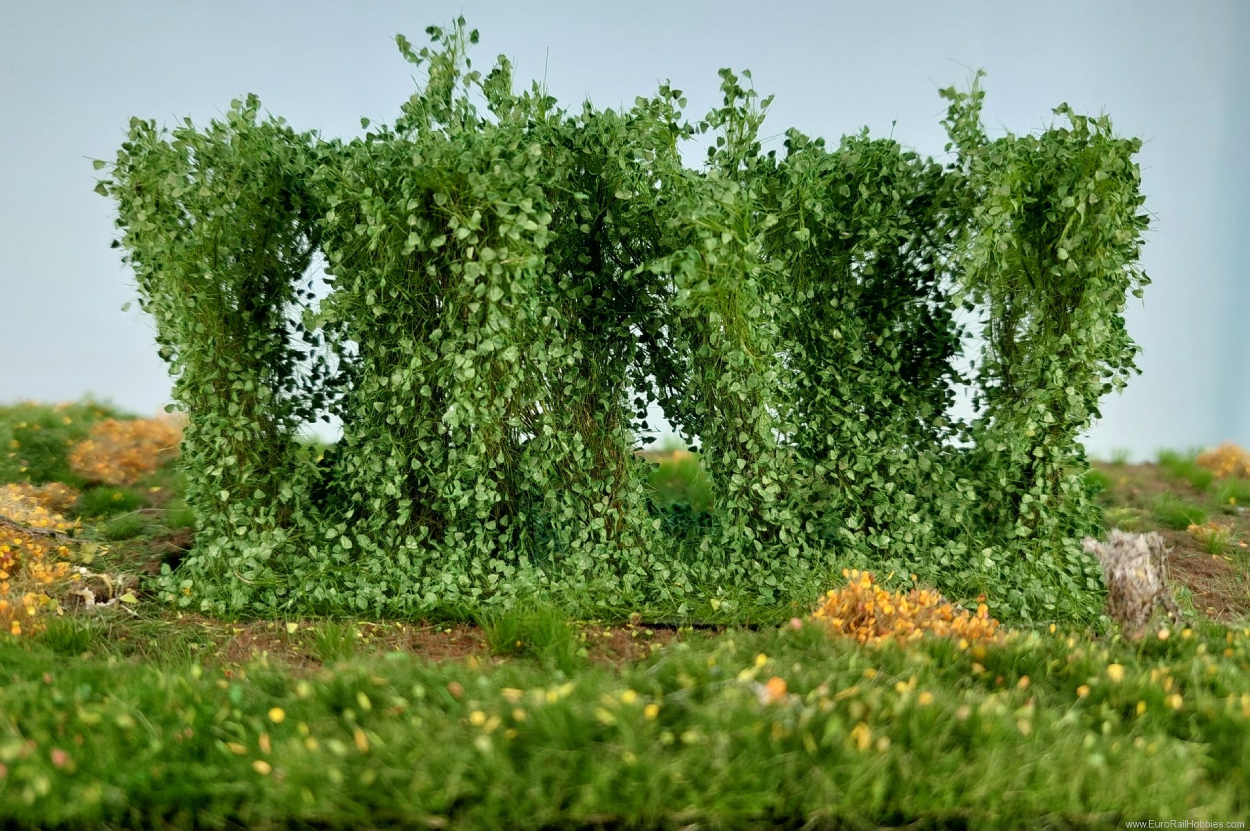 Silhouette Silflor MiniNatur 254-42 Hedges, Summer 