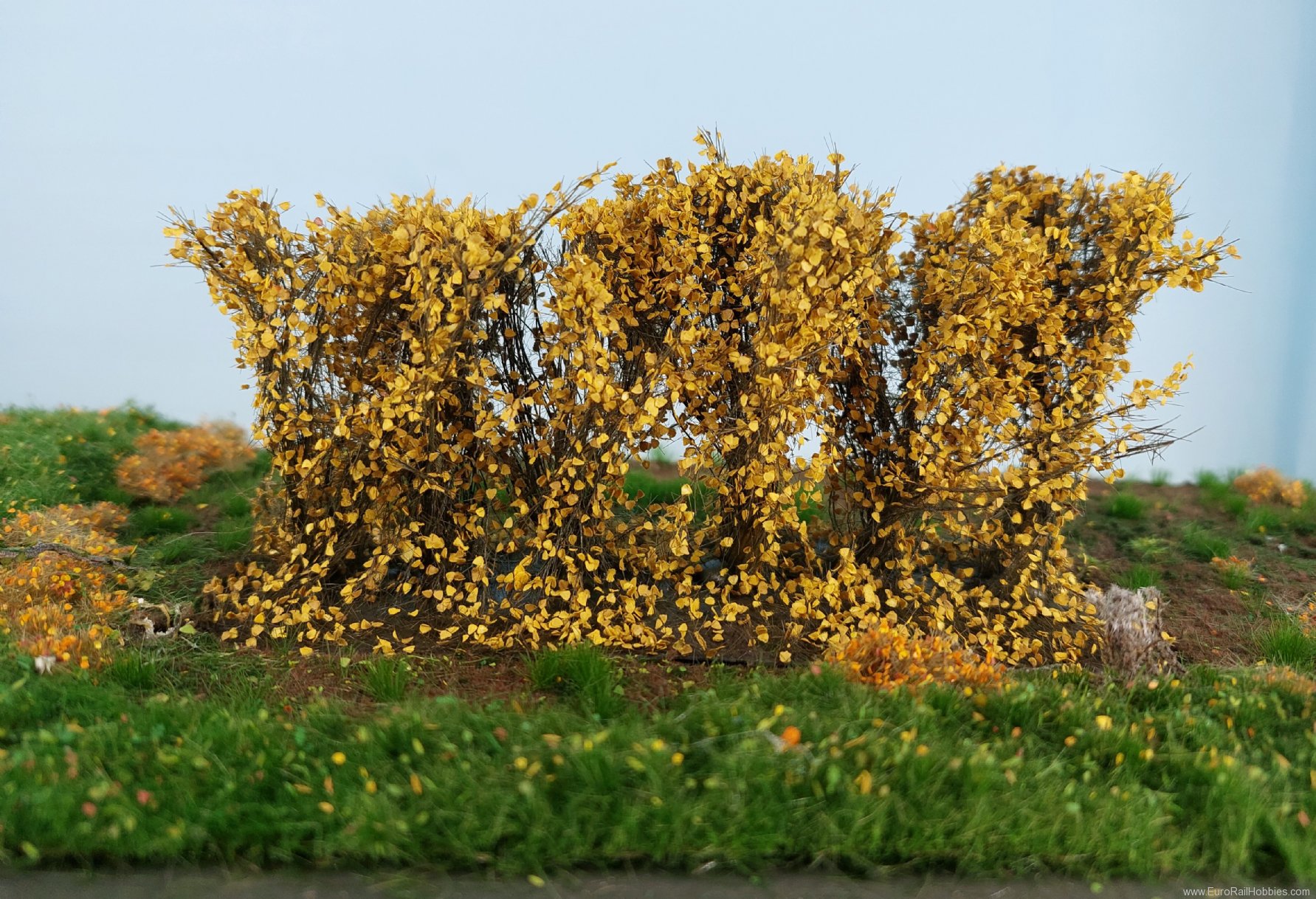 Silhouette Silflor MiniNatur 254-44 Hedges, Late Fall 