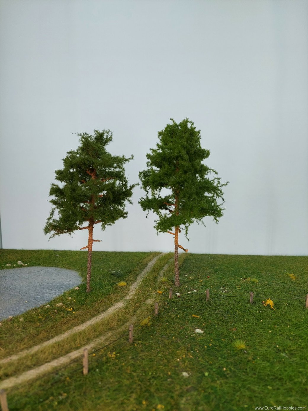 Silhouette Silflor MiniNatur 270-50 Red Pine Tree, Summer 15-20cm