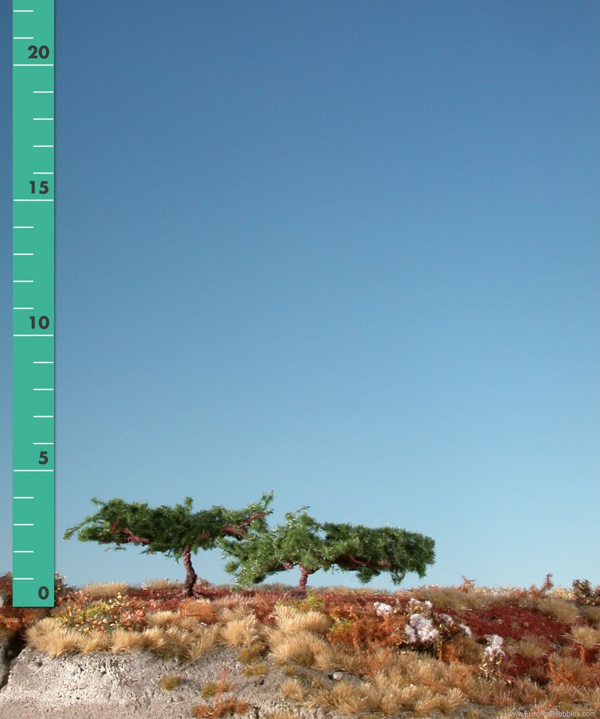 Silhouette Silflor MiniNatur 271-12 Japanese Pine Tree, Summer 12cm