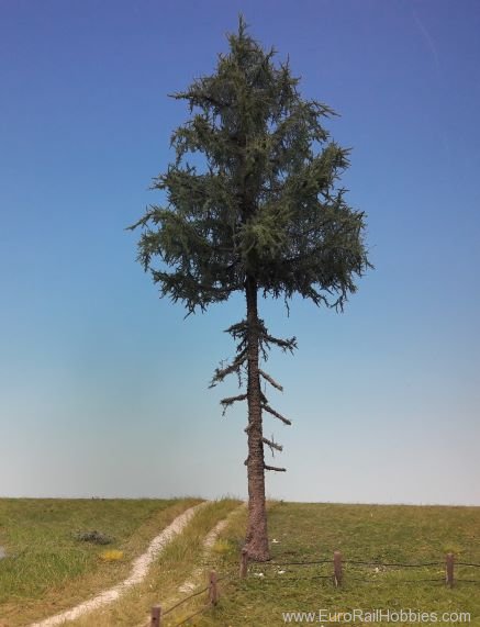 Silhouette Silflor MiniNatur 275-000-3 Fir Tree Tall Trunk, Summer 35-39cm