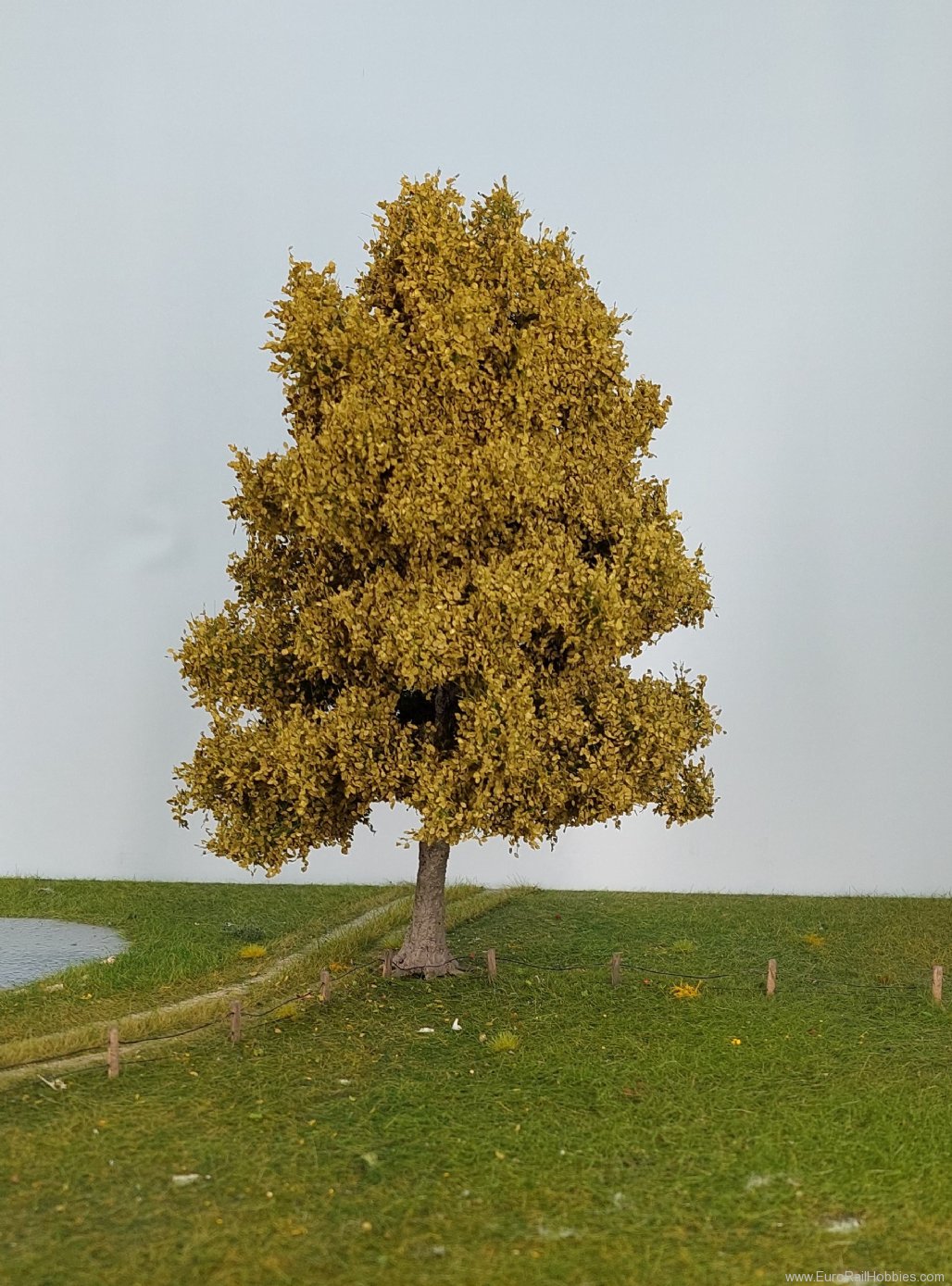 Silhouette Silflor MiniNatur 320-003-1 Beech Tree, Spring 35-39cm