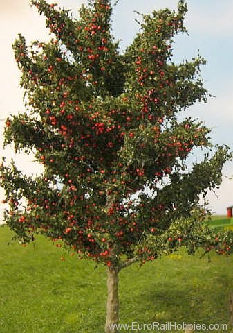 Silhouette Silflor MiniNatur 328-003-3 Pear Tree, Early Fall 30-35cm