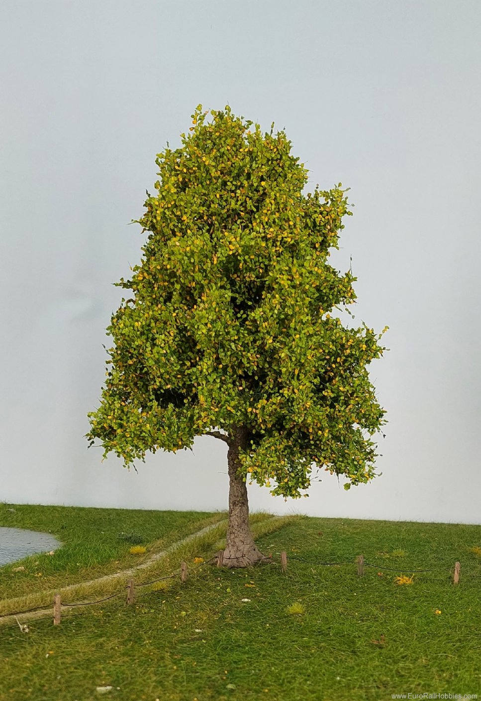 Silhouette Silflor MiniNatur 385-004-3 Profiline Lime, Early Fall (40-45cm)