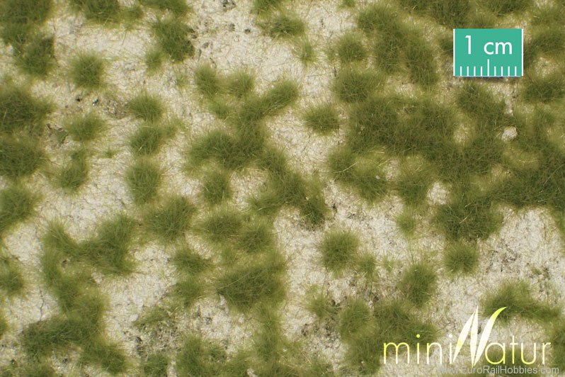 Silhouette Silflor MiniNatur 719-21H Calcareous meadow, Spring (50x31,5 cm)