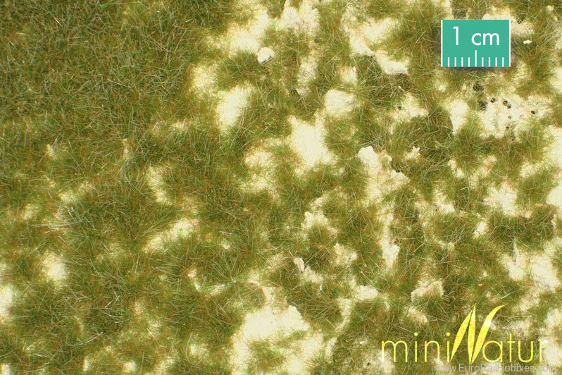 Silhouette Silflor MiniNatur 719-23S Calcareous meadow, Early Fall (31,5x25 cm)