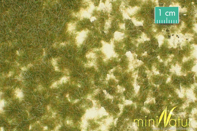 Silhouette Silflor MiniNatur 719-33G Calcareous Meadow, Early Fall   63x50 cm