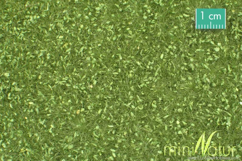 Silhouette Silflor MiniNatur 721-21H Pasture with Weeds, Spring   50x31,5 cm