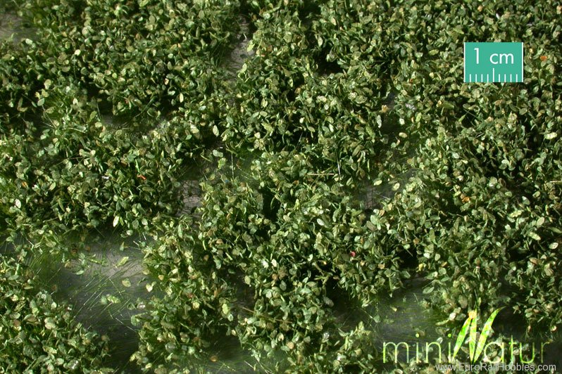 Silhouette Silflor MiniNatur 724-21S Strawberry, Blackberry Bushes, Spring  15x8 c