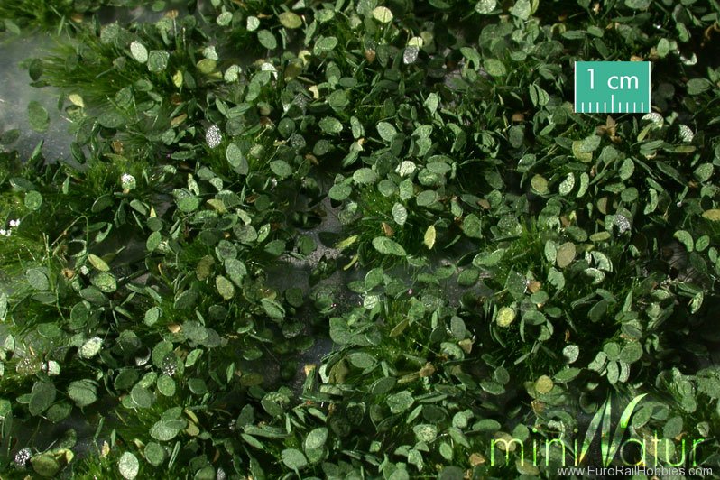 Silhouette Silflor MiniNatur 725-32 Weed tufts, Summer (42x15 cm)