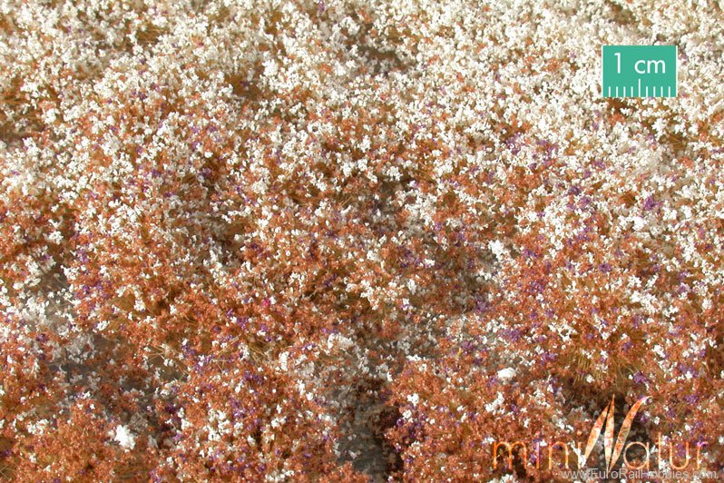 Silhouette Silflor MiniNatur 726-34 Blossom Tufts, Late Fall   42x15 cm