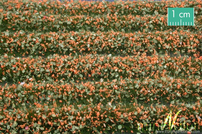Silhouette Silflor MiniNatur 731-25 Blossom Strips, Orange   336 cm