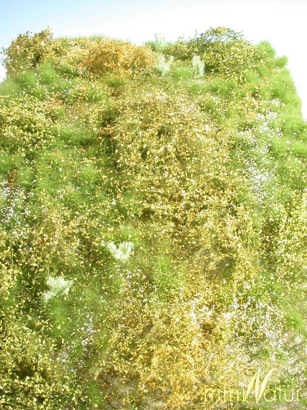 Silhouette Silflor MiniNatur 732-21S Wild Growth Area, Spring   25x15,5 cm