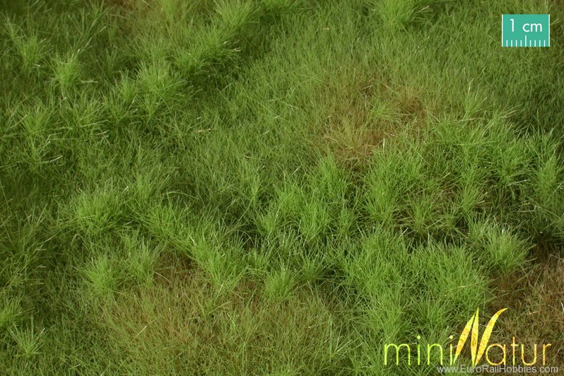 Silhouette Silflor MiniNatur 733-21G Fertileplain meadow, Spring (63x50 cm)