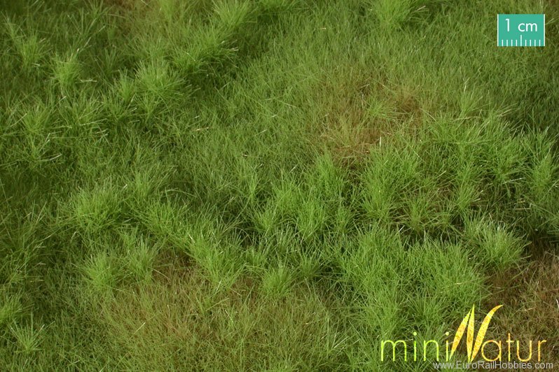 Silhouette Silflor MiniNatur 733-21G Fertile Plain Meadow, Spring   63x50 cm