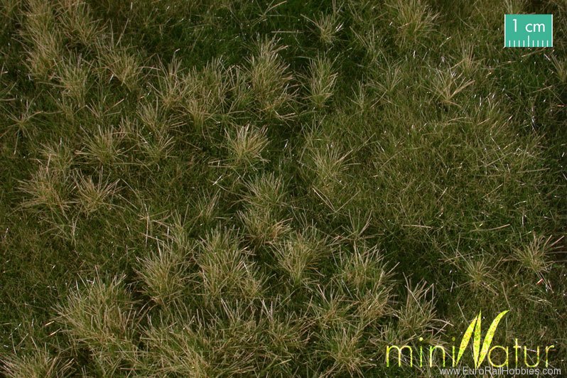 Silhouette Silflor MiniNatur 733-23S Fertileplain meadow, Early Fall (25x15,5 cm)