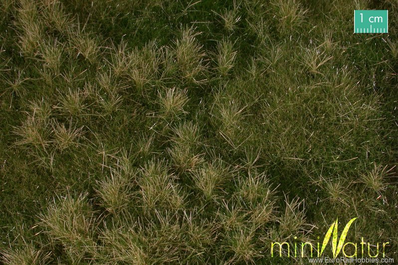 Silhouette Silflor MiniNatur 733-23S Fertile Plain Meadow, Early Fall   25x15,5 cm