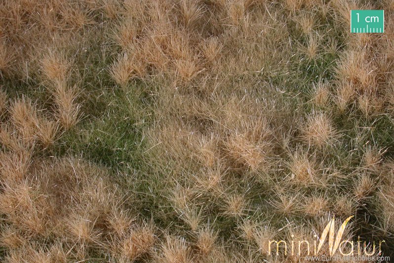 Silhouette Silflor MiniNatur 733-24S Fertileplain meadow, Late Fall (25x15,5 cm)