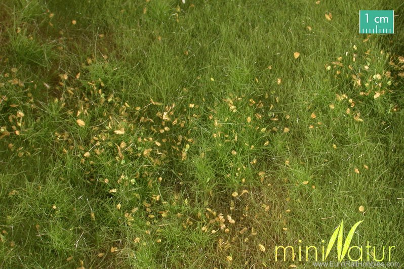 Silhouette Silflor MiniNatur 734-21H Fertile Plain Meadow with Weeds, Spring   50x