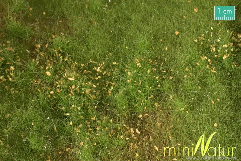 Silhouette Silflor MiniNatur 734-21S Fertile plain meadow with weeds, Spring (25x1