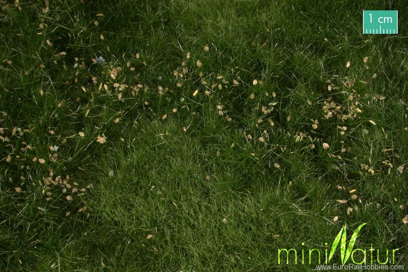 Silhouette Silflor MiniNatur 734-22G Fertile plain meadow with weeds, Summer (63x5