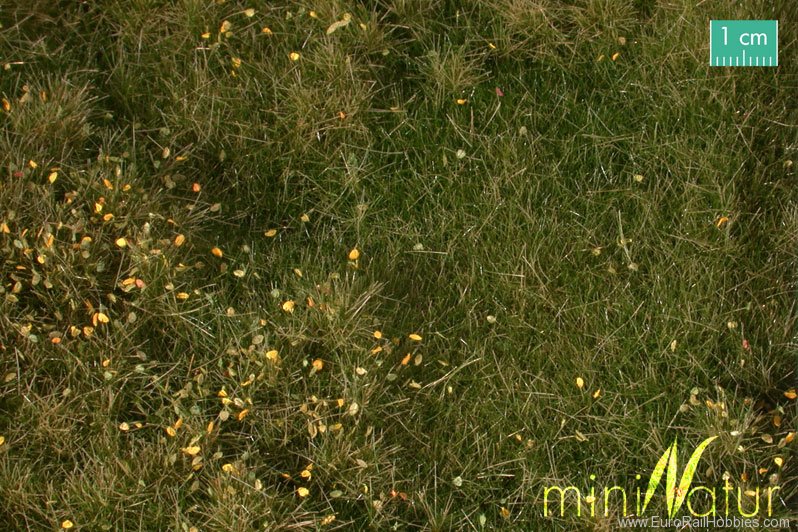 Silhouette Silflor MiniNatur 734-23G Fertile plain meadow with weeds, Early Fall (