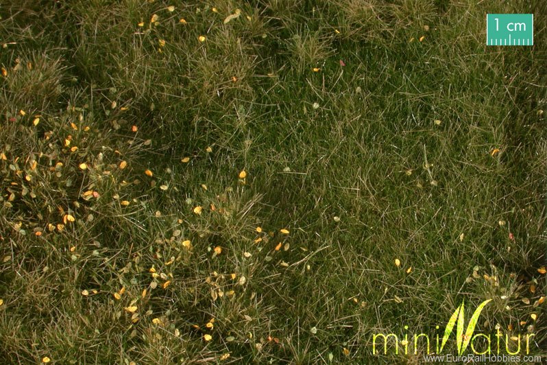 Silhouette Silflor MiniNatur 734-23G Fertile Plain Meadow with Weeds, Early Fall  