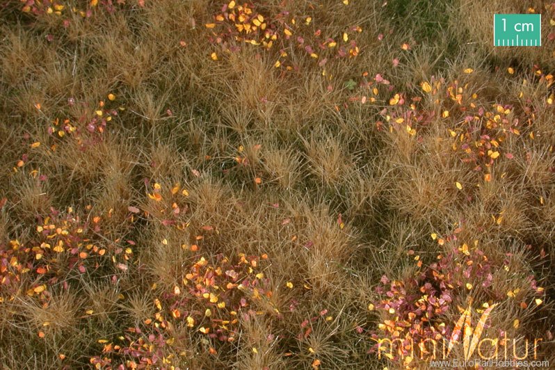 Silhouette Silflor MiniNatur 734-24S Fertile Plain Meadow with Weeds, Late Fall   