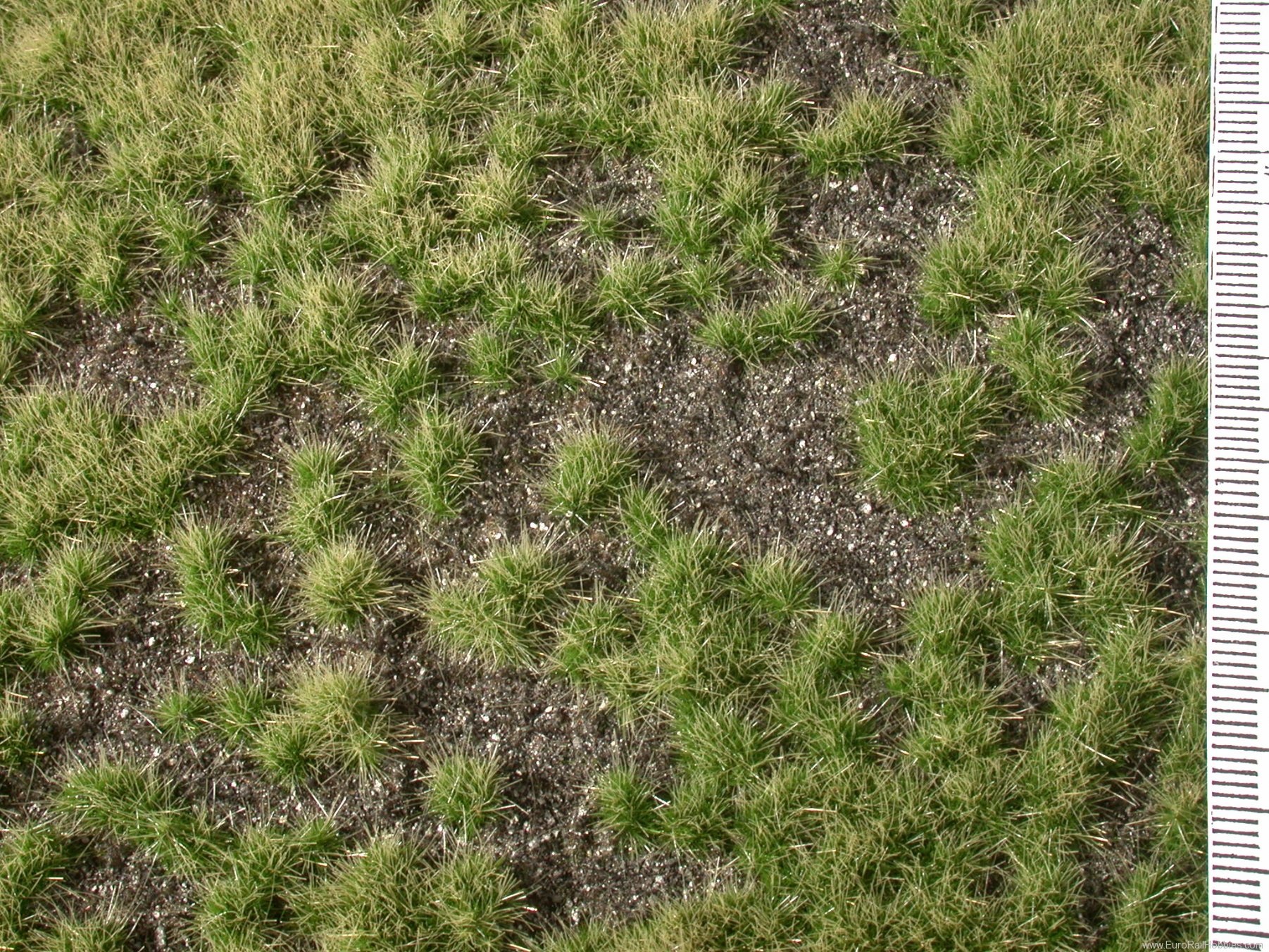 Silhouette Silflor MiniNatur 735-22H Overgrown dark ground, Summer (50x31,5 cm)