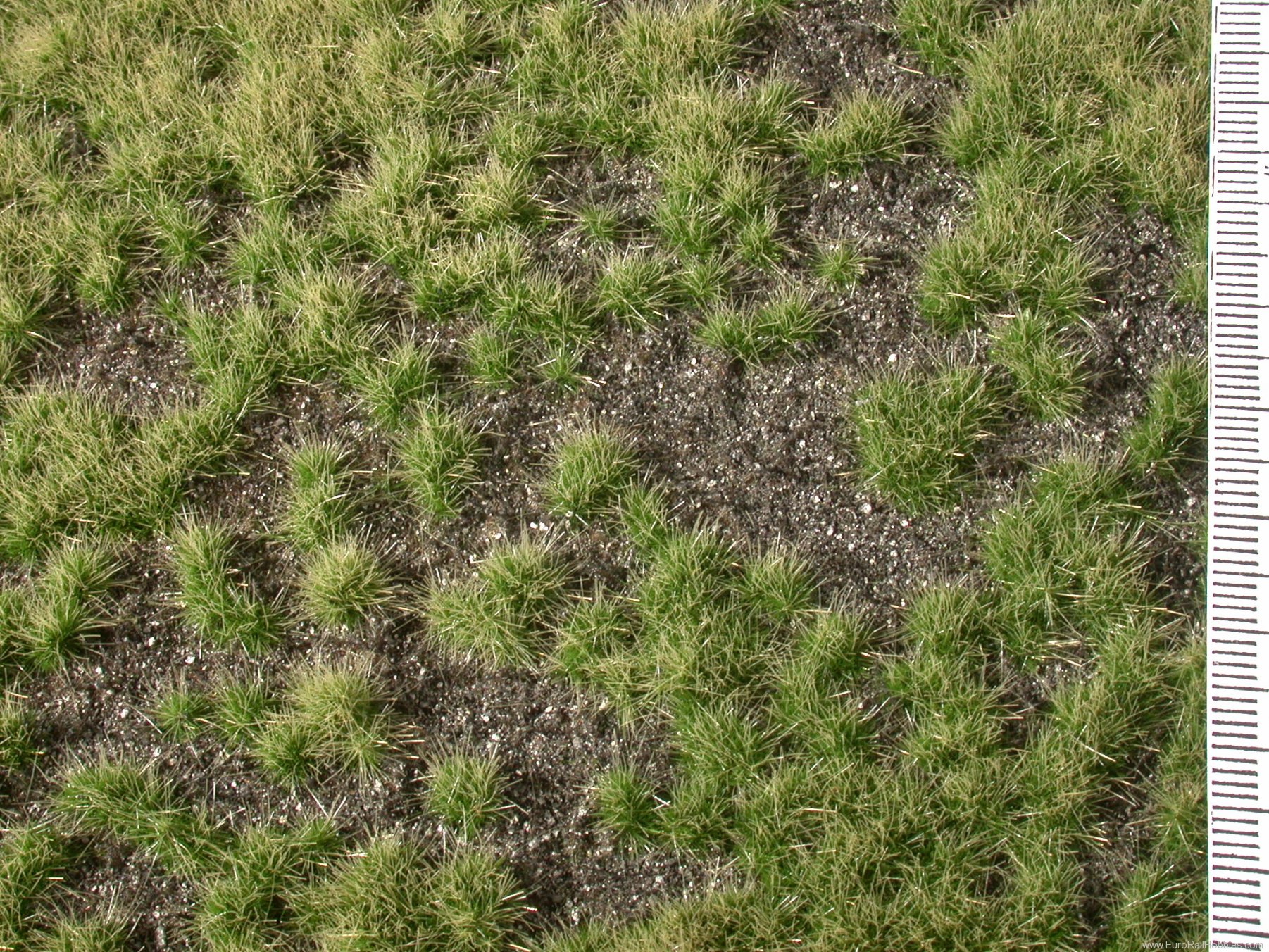 Silhouette Silflor MiniNatur 735-22S Overgrown Dark Ground, Summer   31,5x25 cm