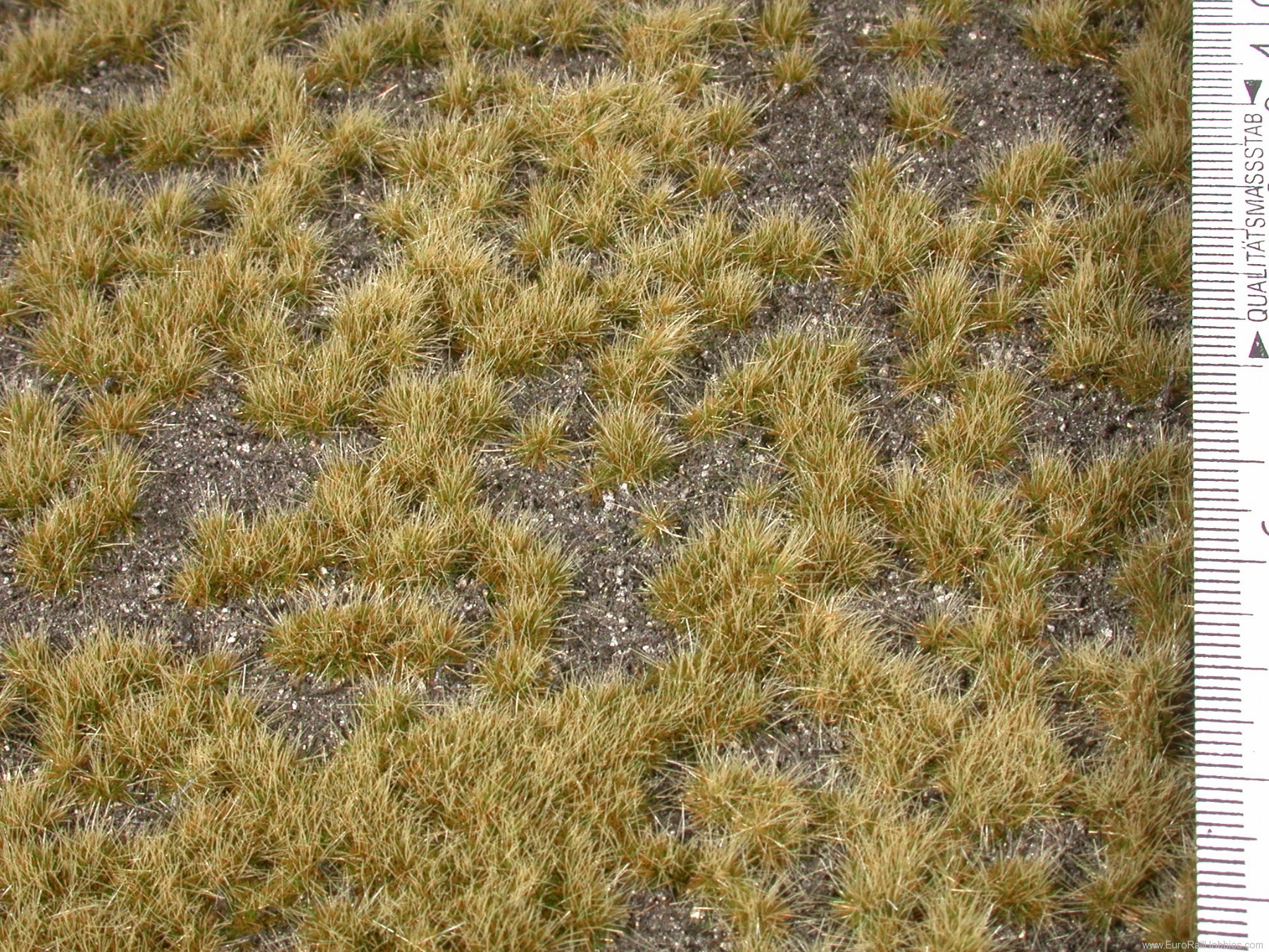 Silhouette Silflor MiniNatur 735-23H Overgrown Dark Ground, Early Fall   50x31,5 c
