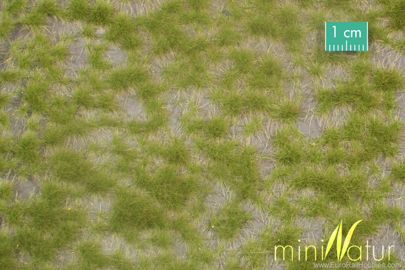 Silhouette Silflor MiniNatur 737-21 Two-coloured Tufts, Spring   42x15 cm