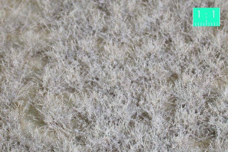 Silhouette Silflor MiniNatur 737-26 Two-coloured Tufts, Winter   42x15 cm