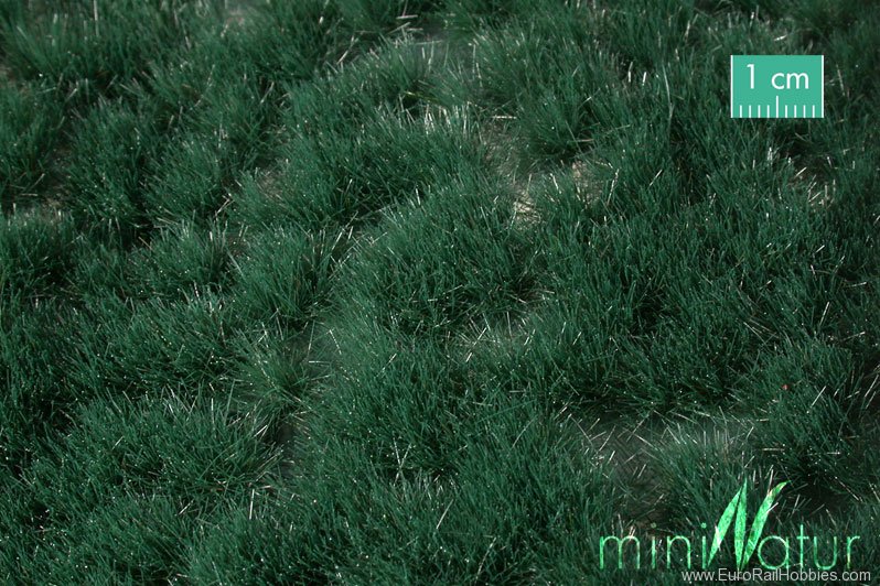 Silhouette Silflor MiniNatur 739-22 Reed grass tufts, Summer (42x15 cm)