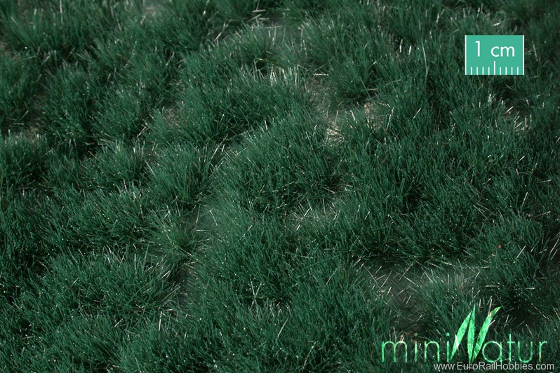 Silhouette Silflor MiniNatur 739-22  Reed Grass Tufts, Summer   42x15 cm