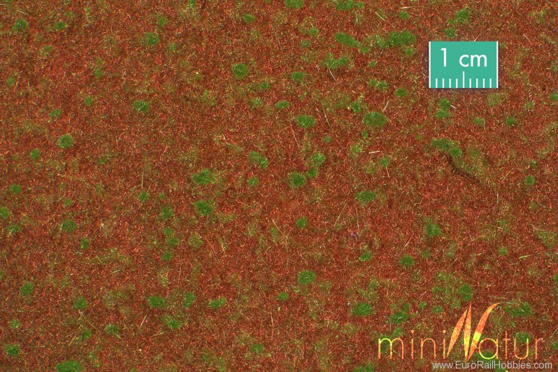 Silhouette Silflor MiniNatur 740-22H Forest Ground Cover, Summer   50x31,5 cm