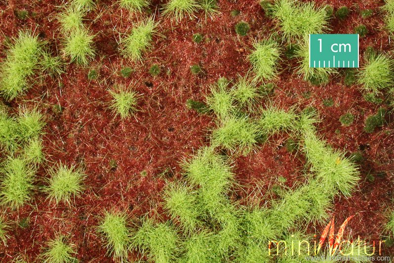 Silhouette Silflor MiniNatur 741-21H Overgrown Forest Ground Cover, Spring   50x31