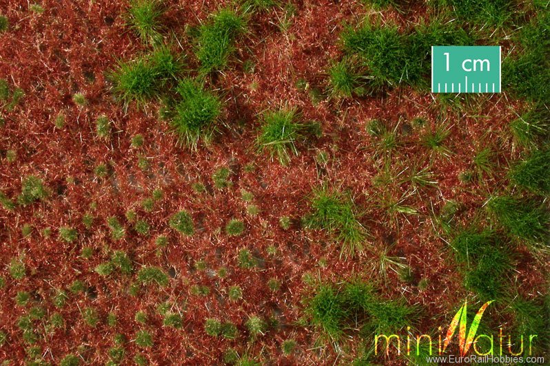 Silhouette Silflor MiniNatur 741-22G Overgrown Forest Ground Cover, Summer   63x50