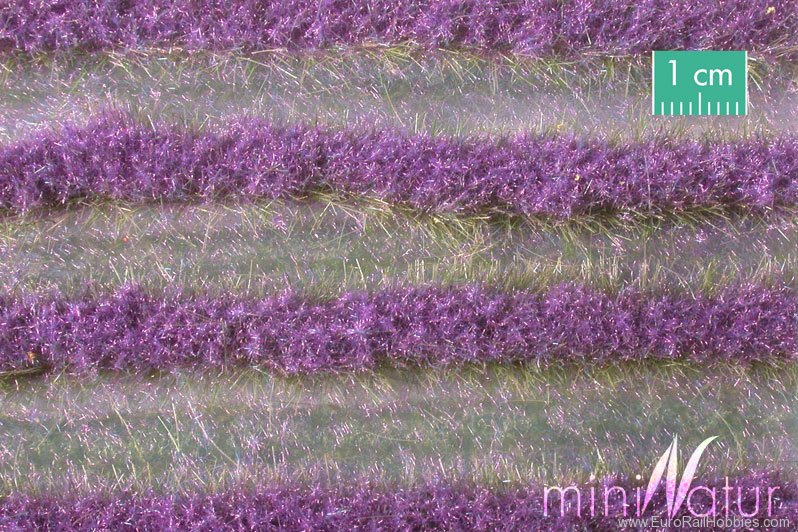 Silhouette Silflor MiniNatur 792-22 Lavender Field Strips, Summer   336 cm
