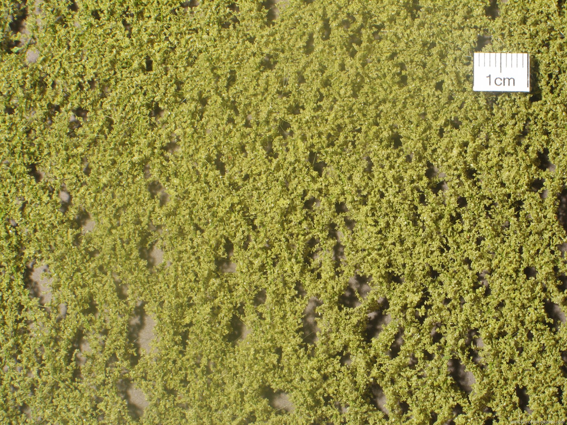 Silhouette Silflor MiniNatur 910-11S Birch foliage, Spring  15x4 cm